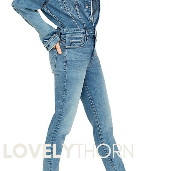HUDSON // long sleeved fitted stretch denim jumpsuit in magnetize - Picture 10 of 12